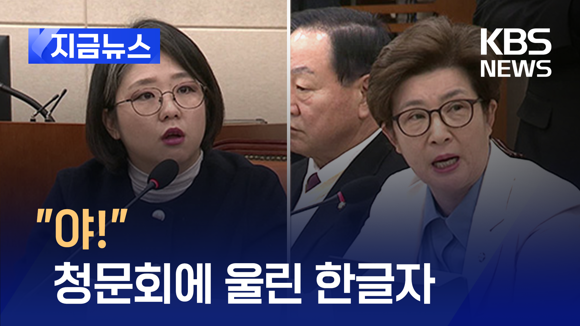 용혜인 “사령관씩이나 돼서” 발언에, 강선영 “야!”…고성 얼룩진 청문회 [지금뉴스]