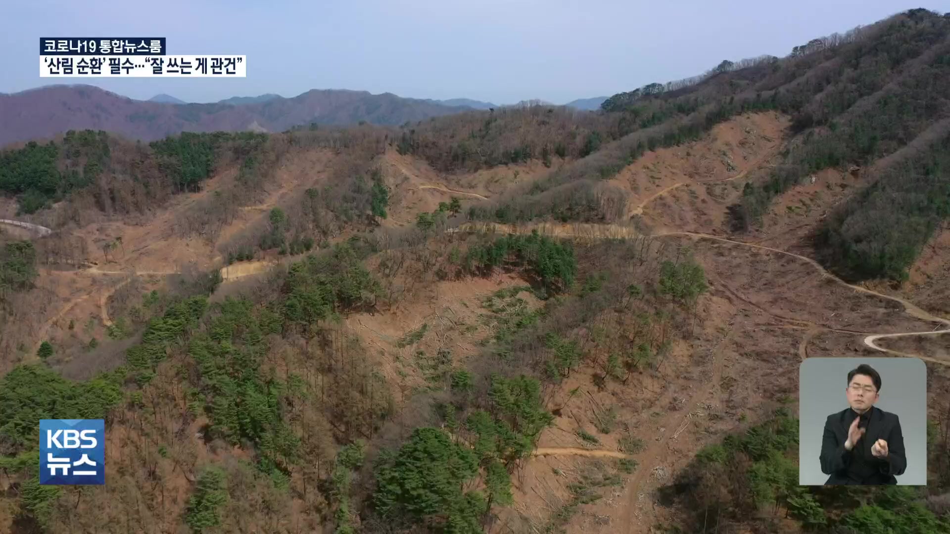 “숲이 늙어간다” 30년 뒤 탄소흡수량 1/3토막…“어떻게 쓰냐가 관건”