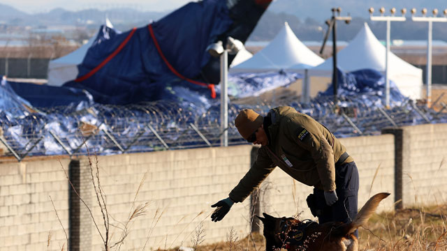 국회, ‘제주항공 여객기 참사’ 특위 가동…6월 30일까지 활동