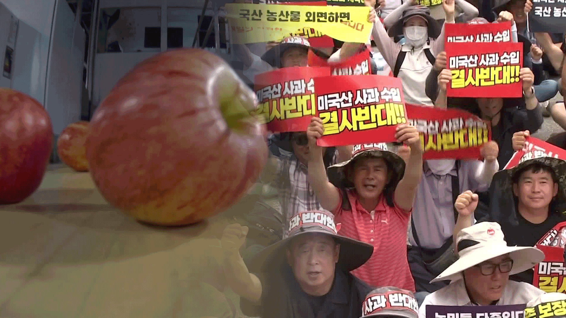쌀·소고기 대신 사과?…“비관세조치 협의”는 무엇?