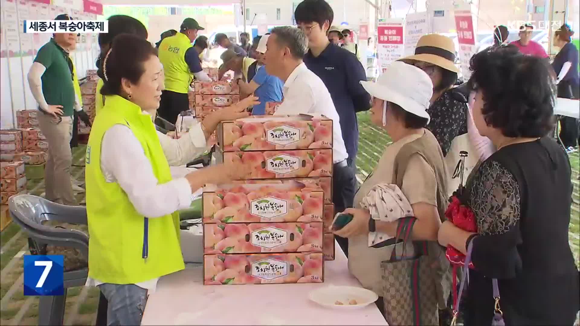 축제는 열렸는데…복숭아 농가 복구 제자리