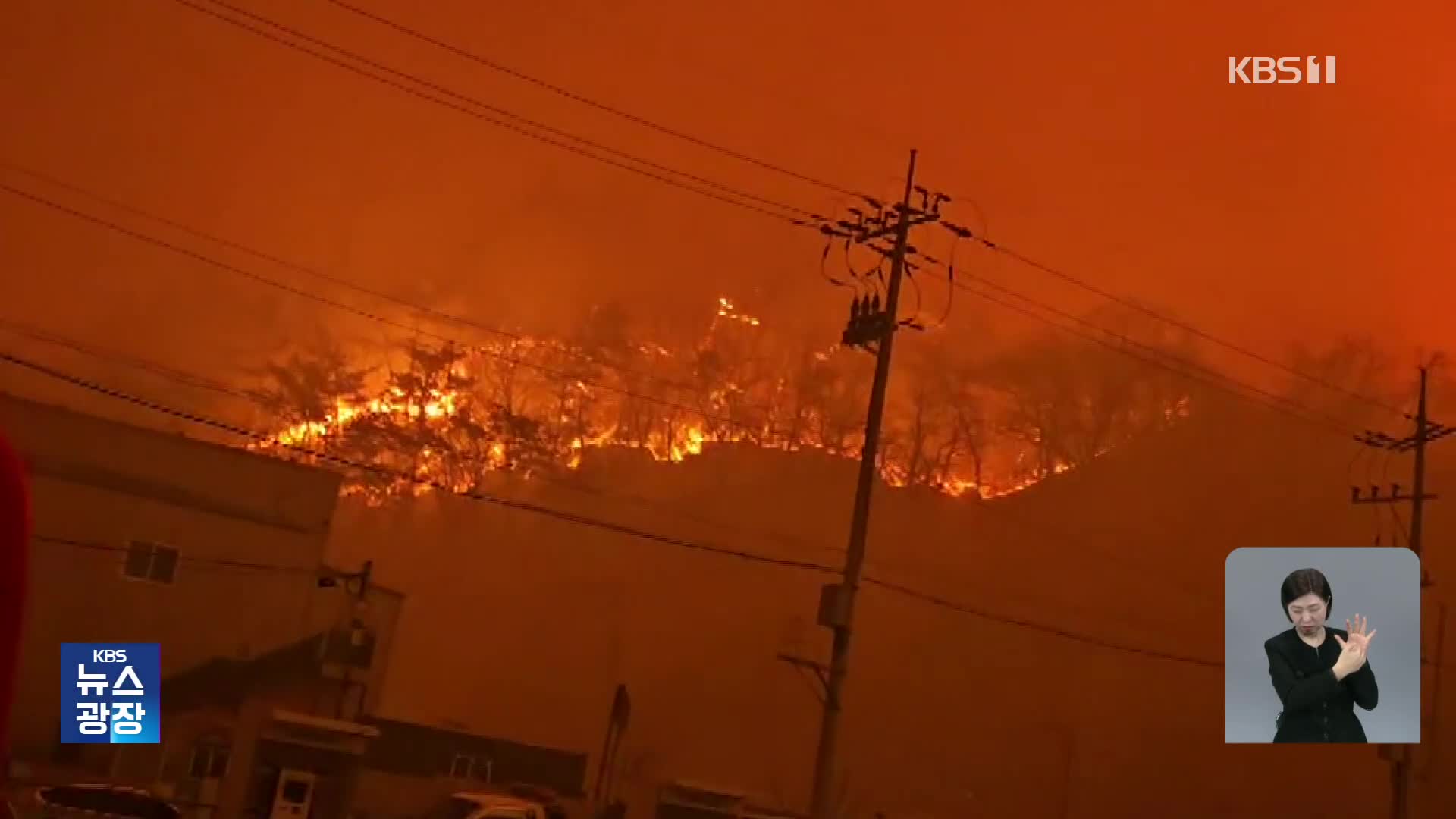 의성 산불 인접지 확산, 12명 사망